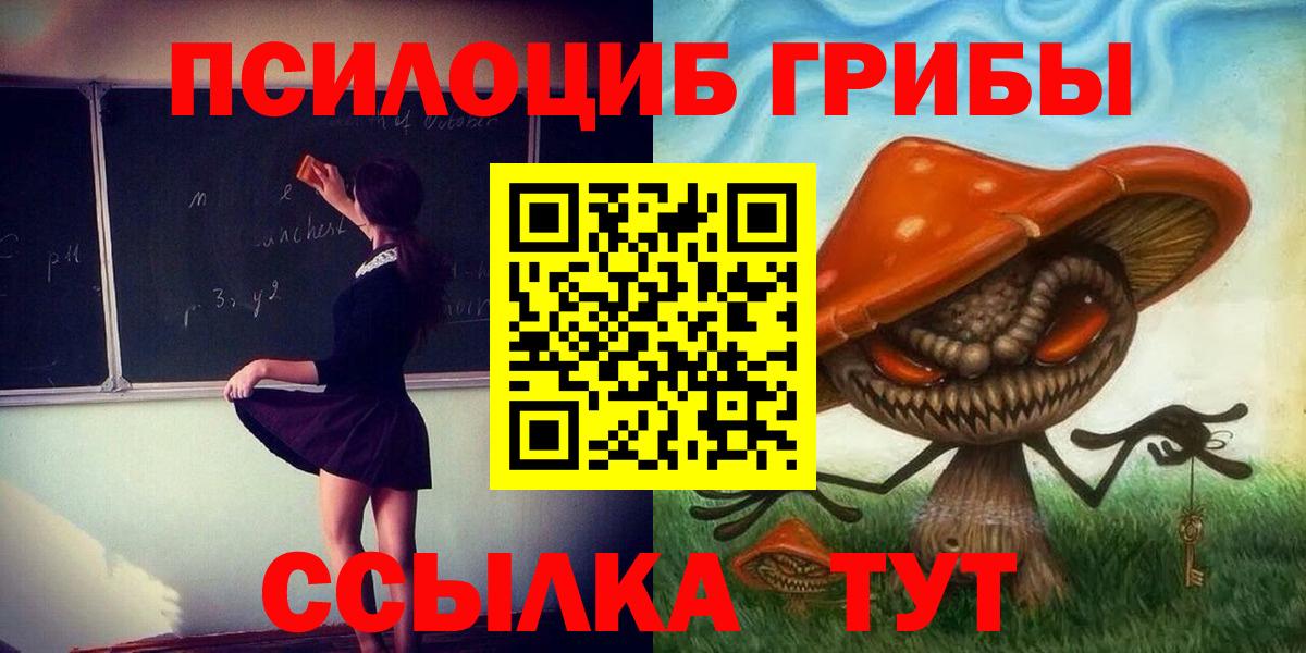 Псилоцибиновые грибы Cubensis  Галлюциногенные грибы прущие грибы  Богданович  Вход с VPN 